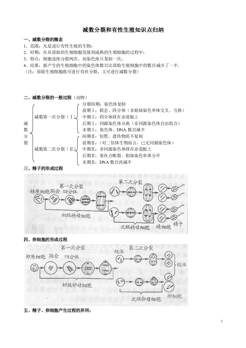 减数分裂和有性生殖基础知识点归纳