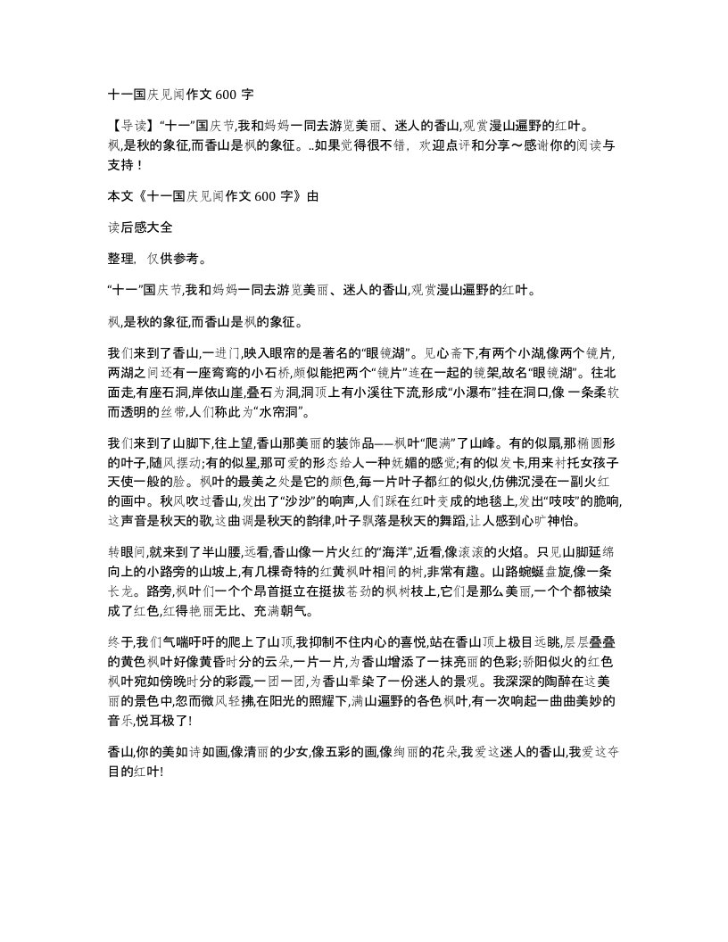 十一国庆见闻作文600字