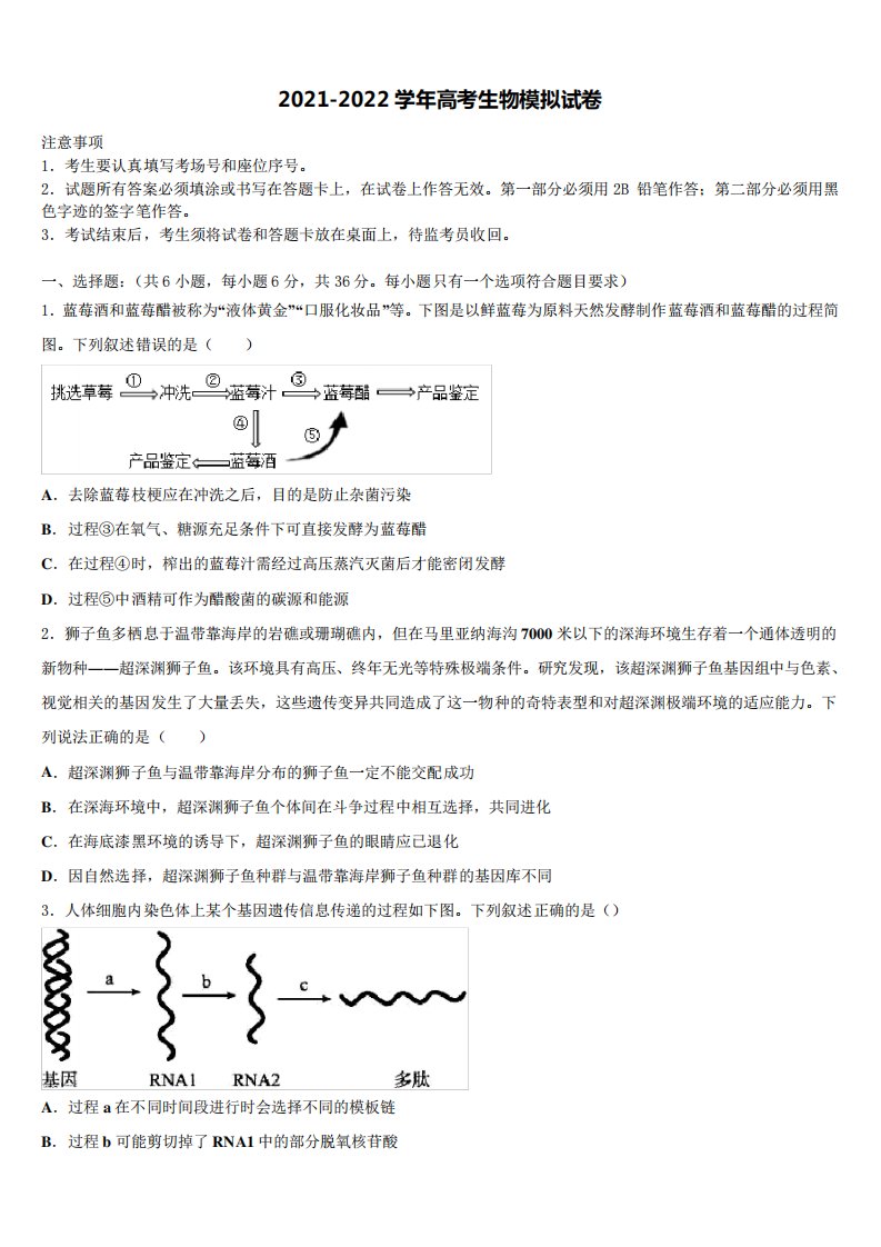 2022届乌海市重点中学高三下学期一模考试生物试题含解析