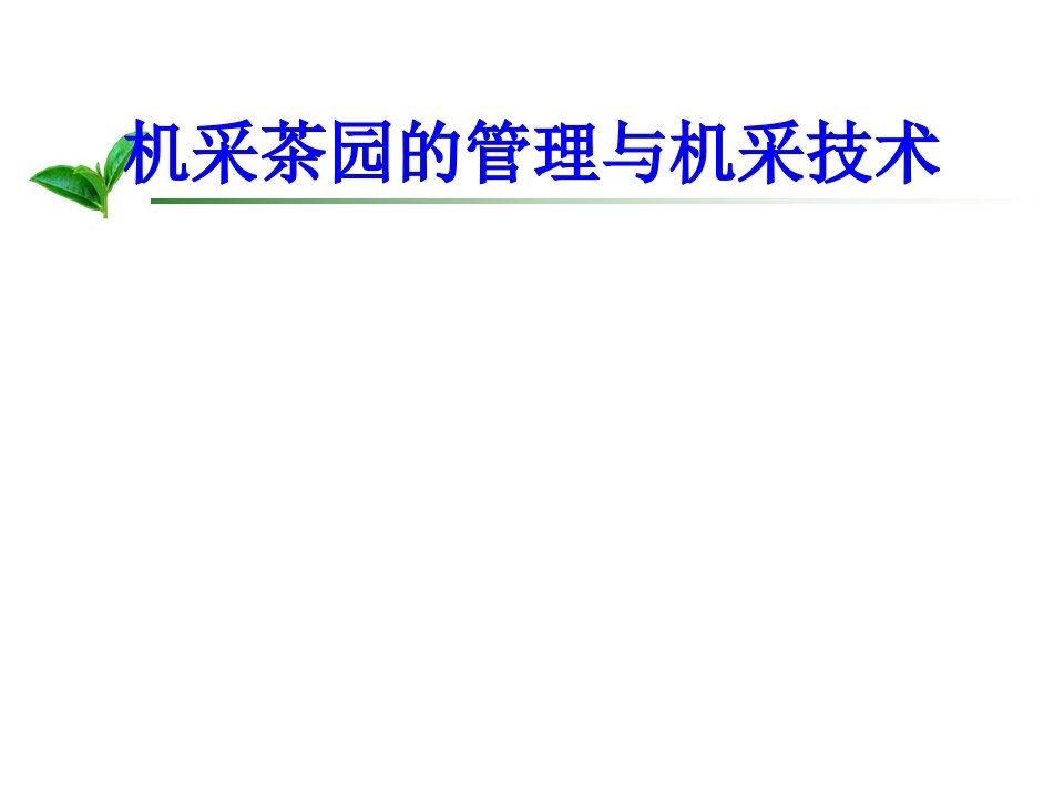 机采茶园的管理与机采技术经典课件