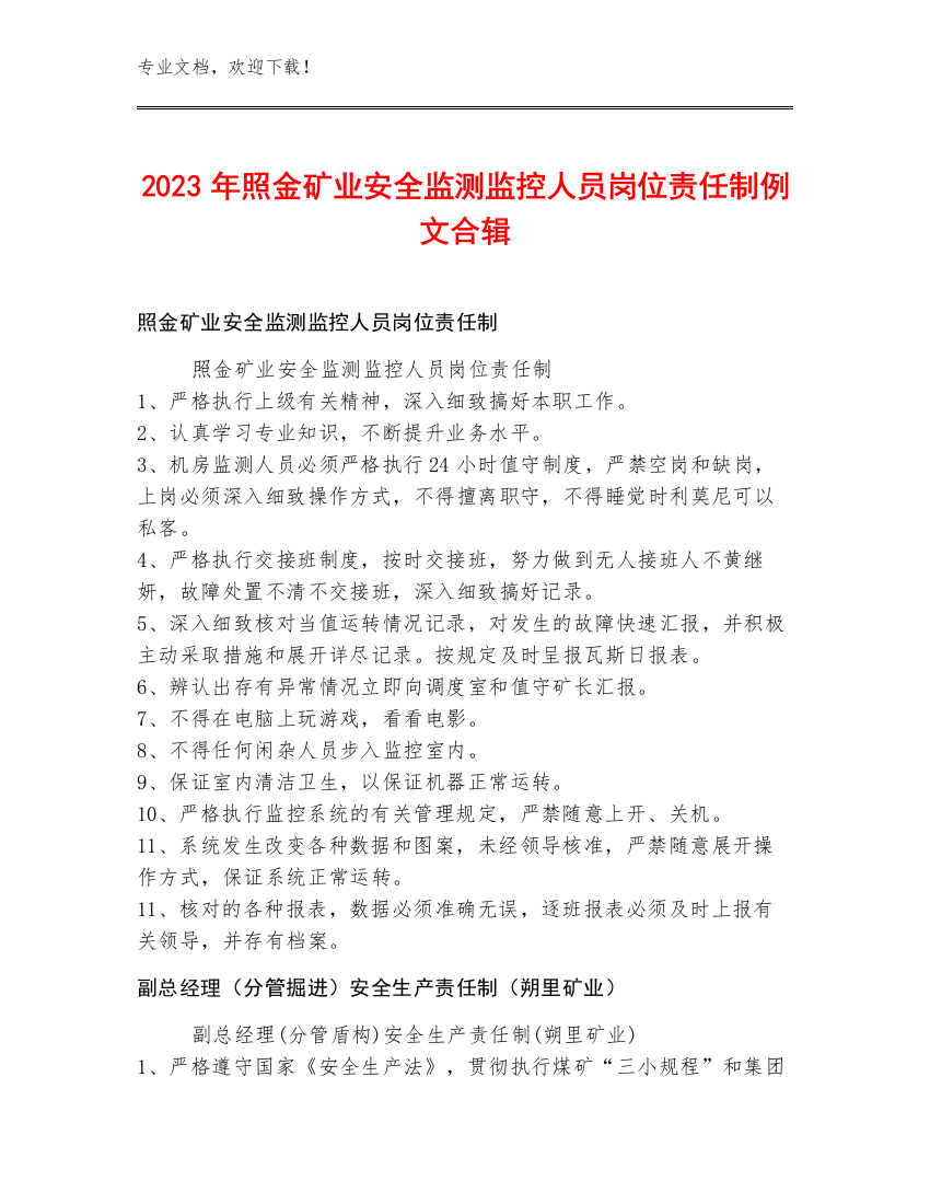 2023年照金矿业安全监测监控人员岗位责任制例文合辑