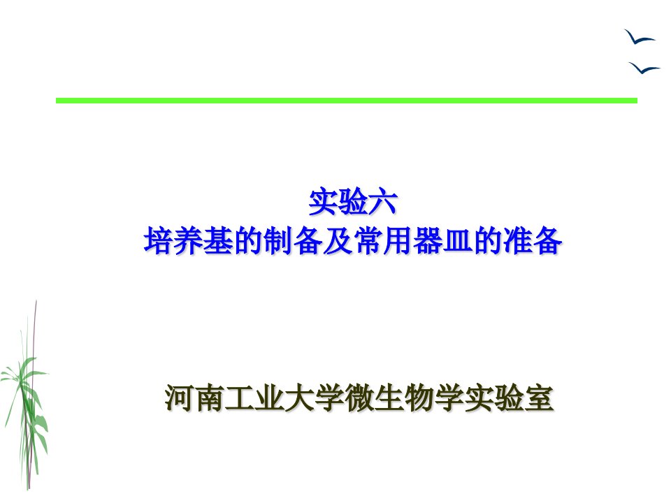 实验六、培养基的制备及常用器皿的准备