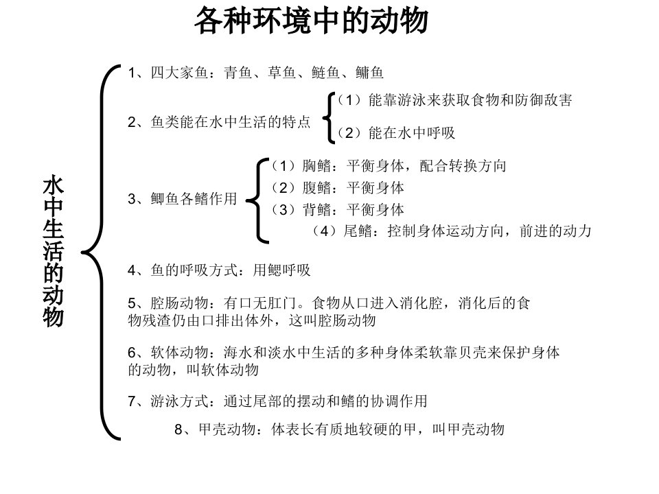 初一生物知识结构图