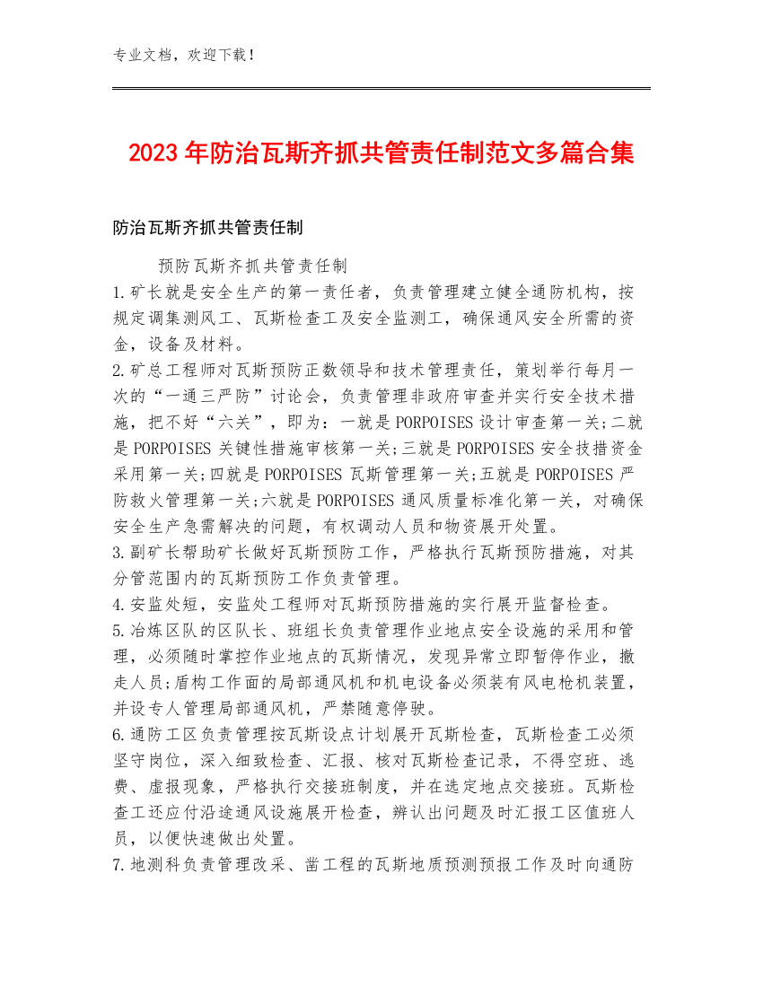 2023年防治瓦斯齐抓共管责任制范文多篇合集