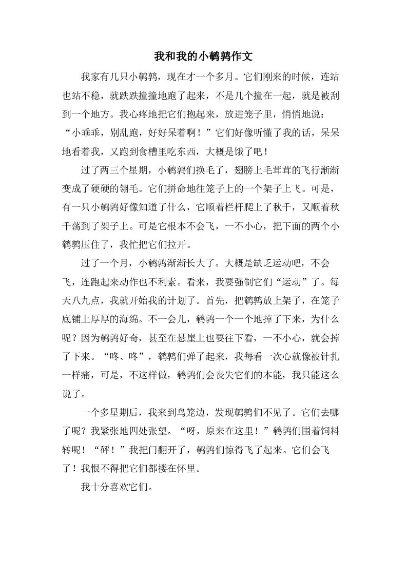 我和我的小鹌鹑作文