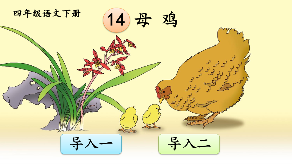 部编版四年级语文下册《母鸡》精品课件