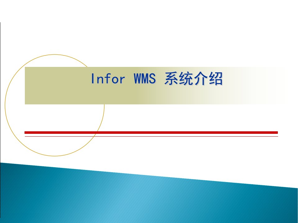 产品介绍(Infor-WMS系统)