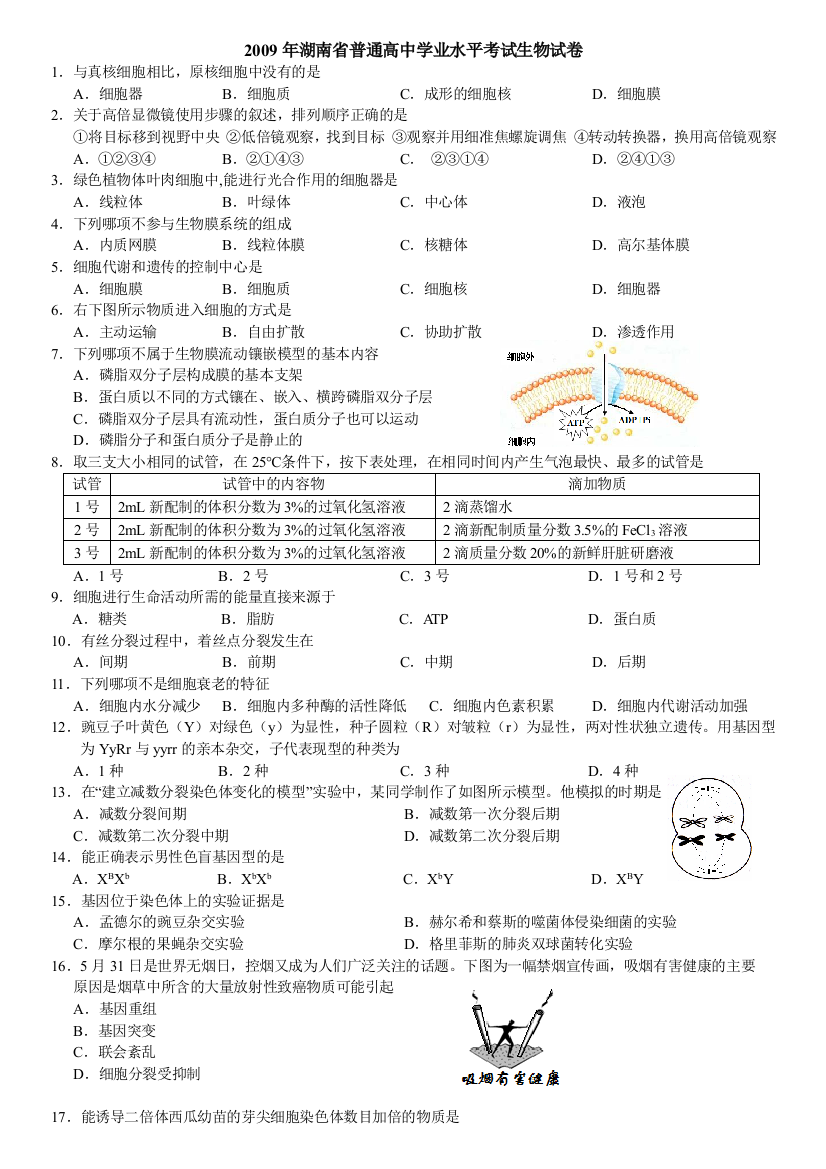 2009湖南省普通高中生物学业水平考试真题汇编整理版含答案