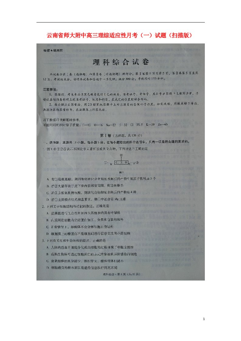 云南省师大附中高三理综适应性月考（一）试题（扫描版）