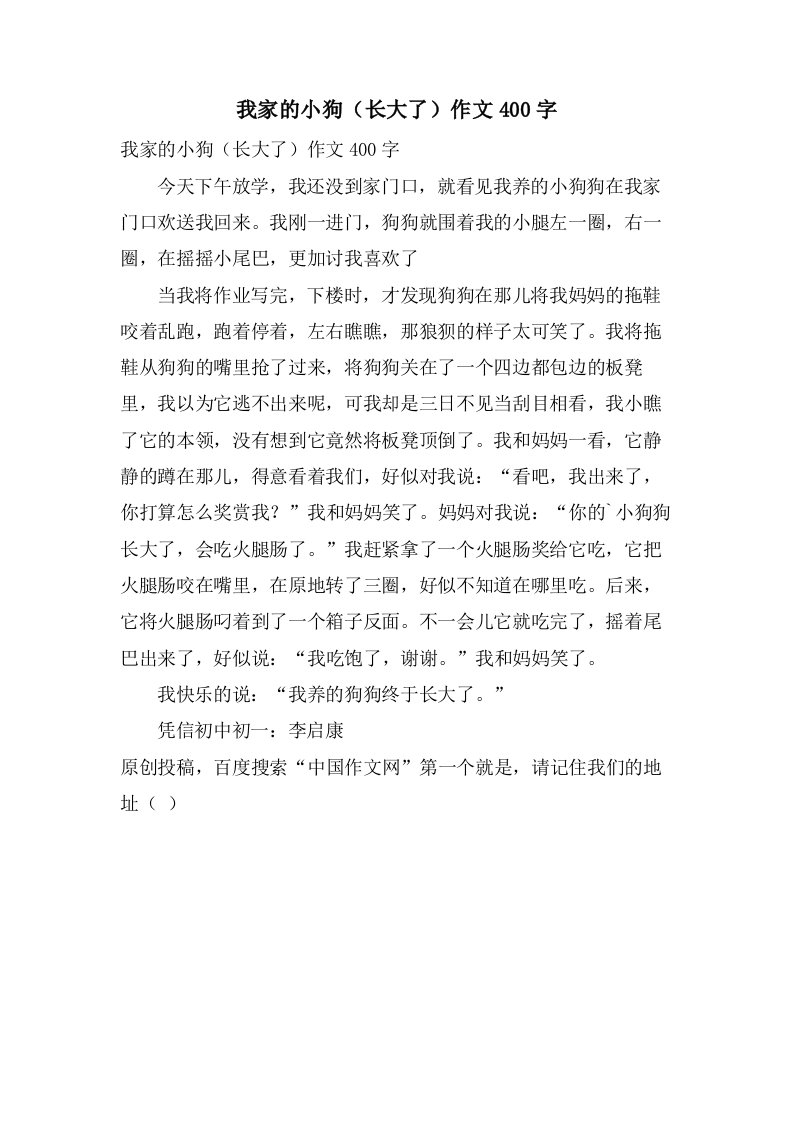 我家的小狗（长大了）作文400字