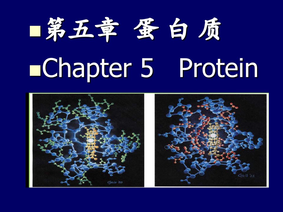 食品化学-蛋白质ppt课件