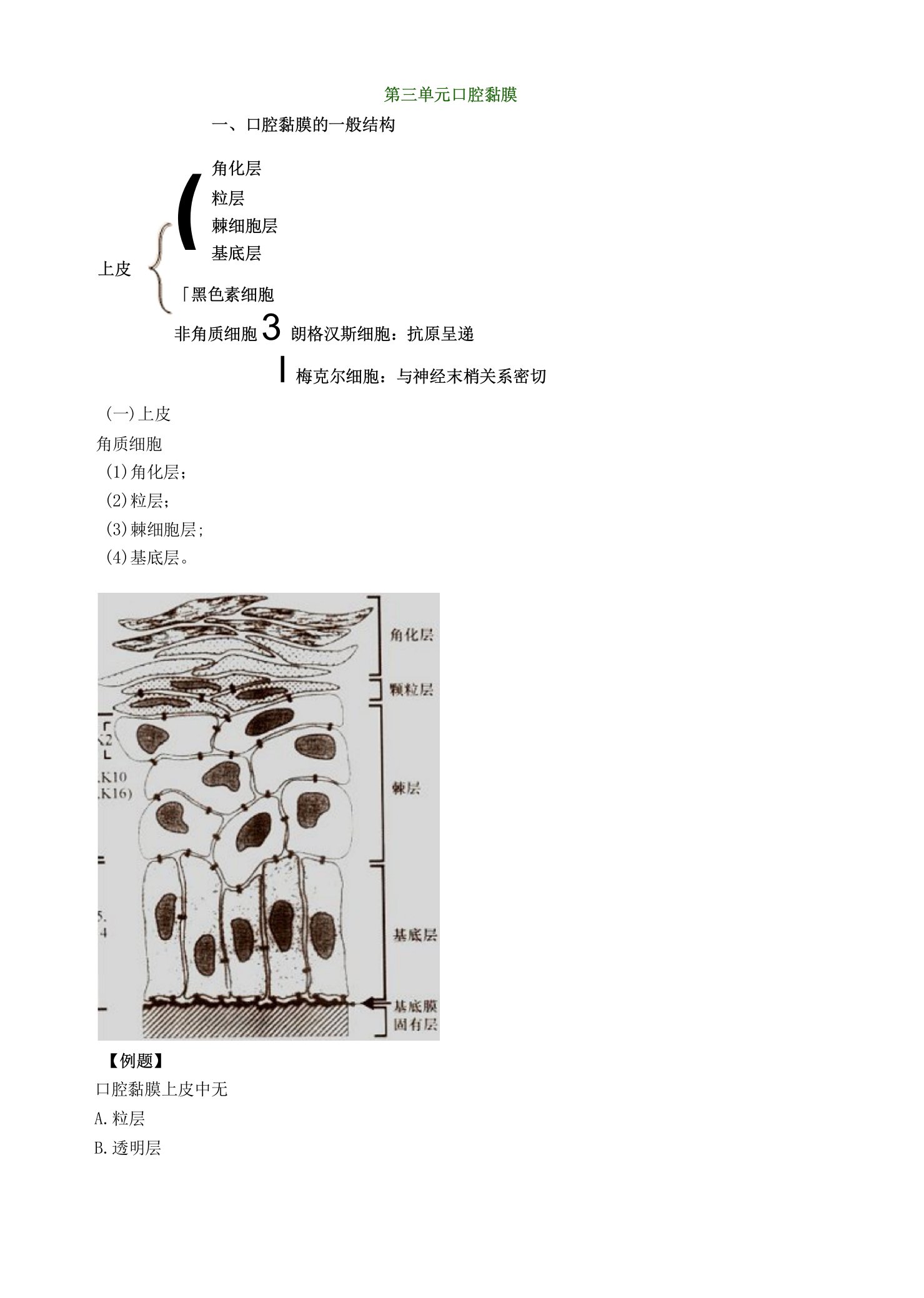 口腔科执业资格要点提炼