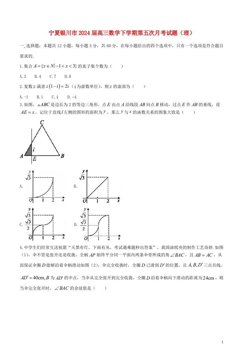 宁夏银川市2025届高三数学下学期第五次月考试题理