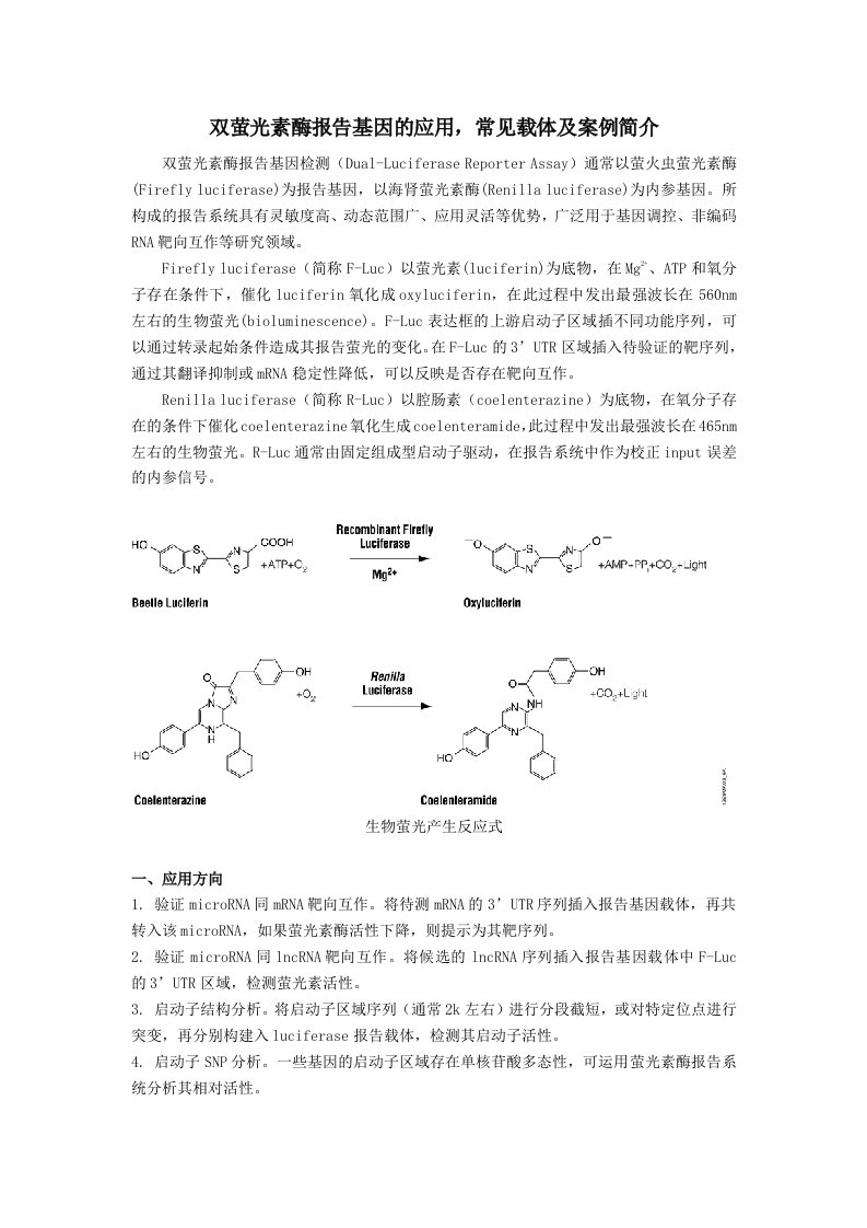 双萤光素酶报告基因的应用-常见载体及案例简介