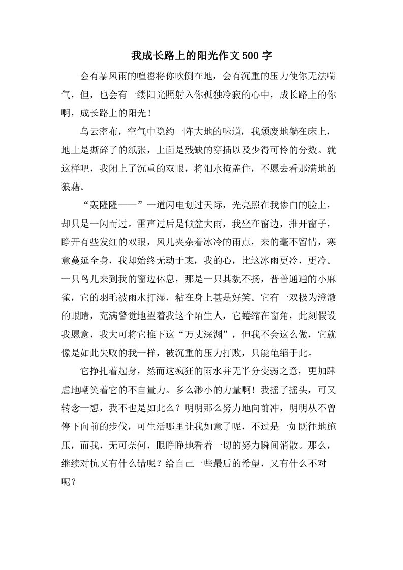 我成长路上的阳光作文500字