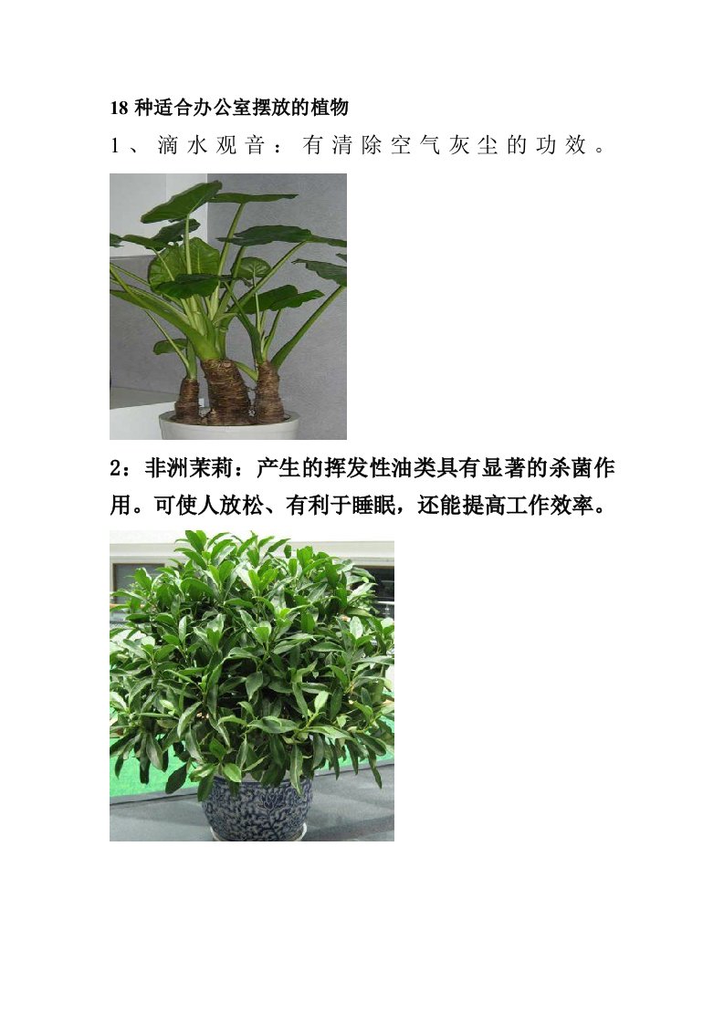 18种适合办公室摆放的植物