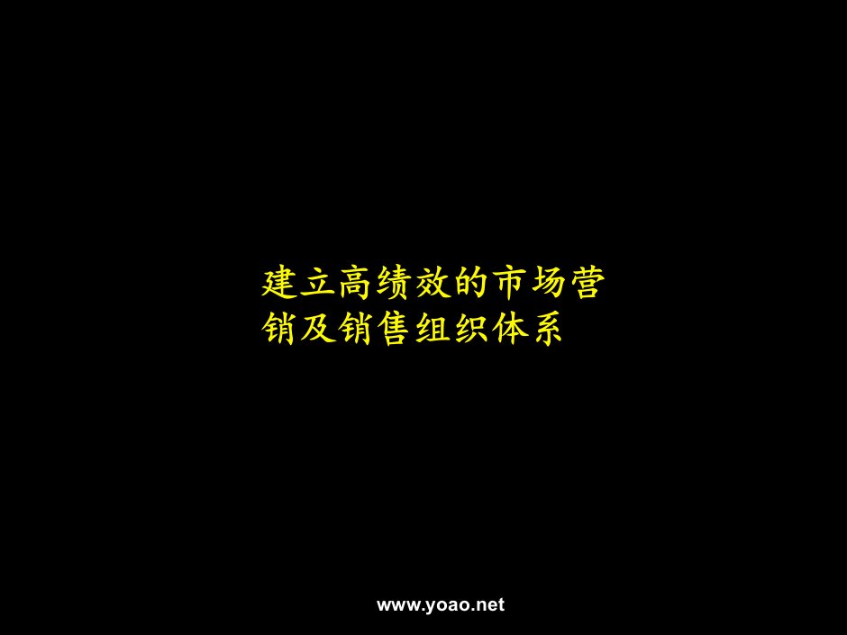 麦肯锡为公司做的项目总结报告