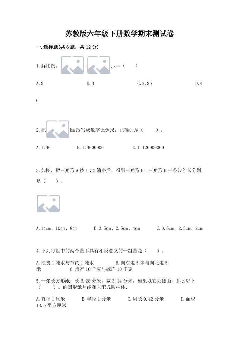 苏教版六年级下册数学期末测试卷（真题汇编）