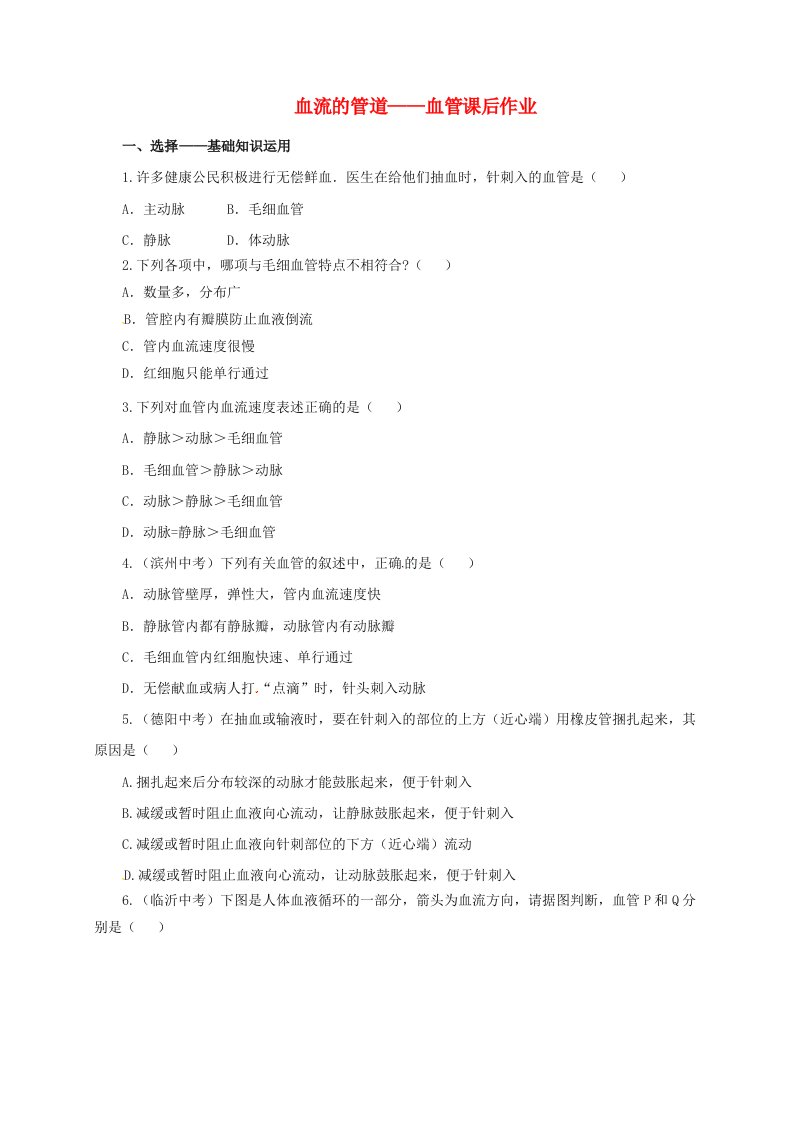 七年级生物下册4.4.2血流的管道