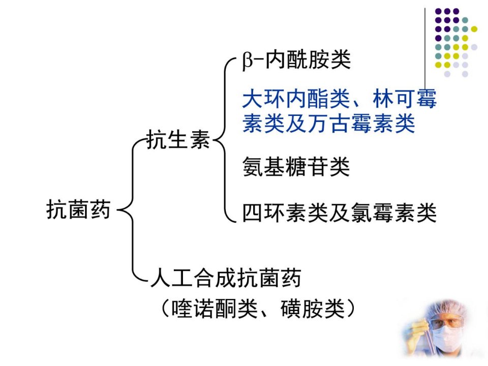 40大环林可万古及多粘菌素