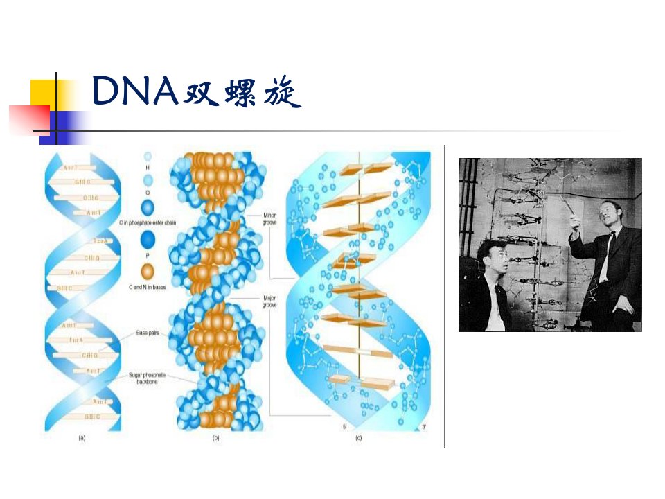 表观遗传学