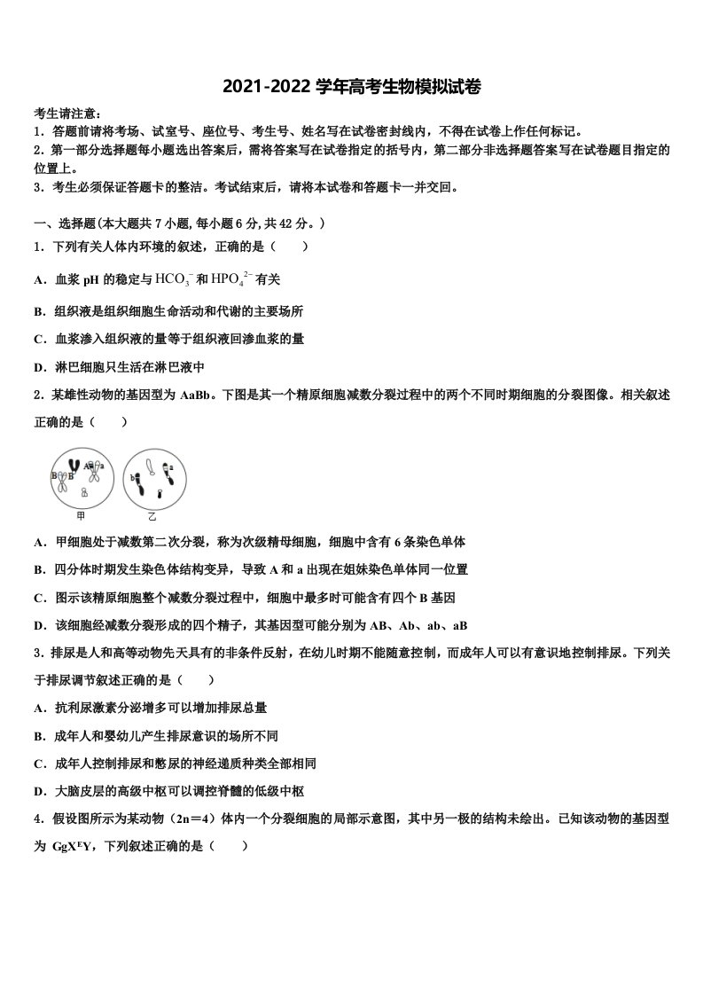 大连市第二十四中学2021-2022学年高三（最后冲刺）生物试卷含解析