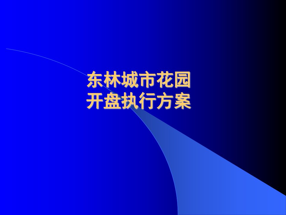 东林城市花园开盘执行方案