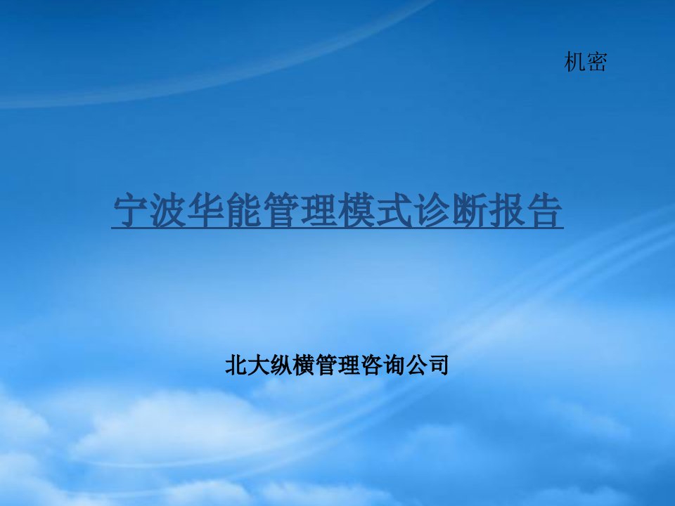 宁波华能国际贸易有限公司管理模式诊断报告