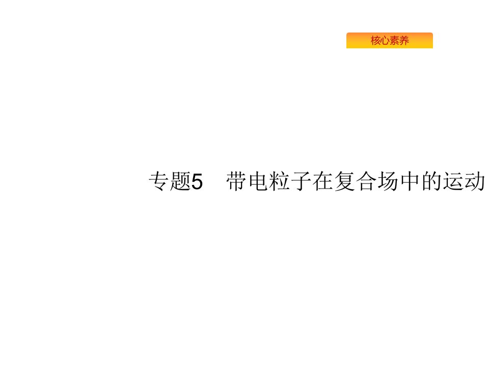 2020版高考物理人教版复习ppt课件专题带电粒子在复合场中的运动