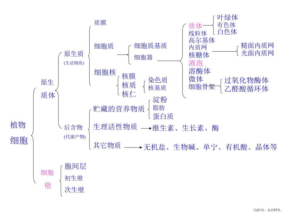 植物细胞与组织