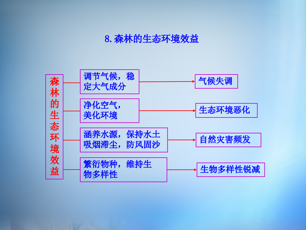 8.森林的生态环境效益