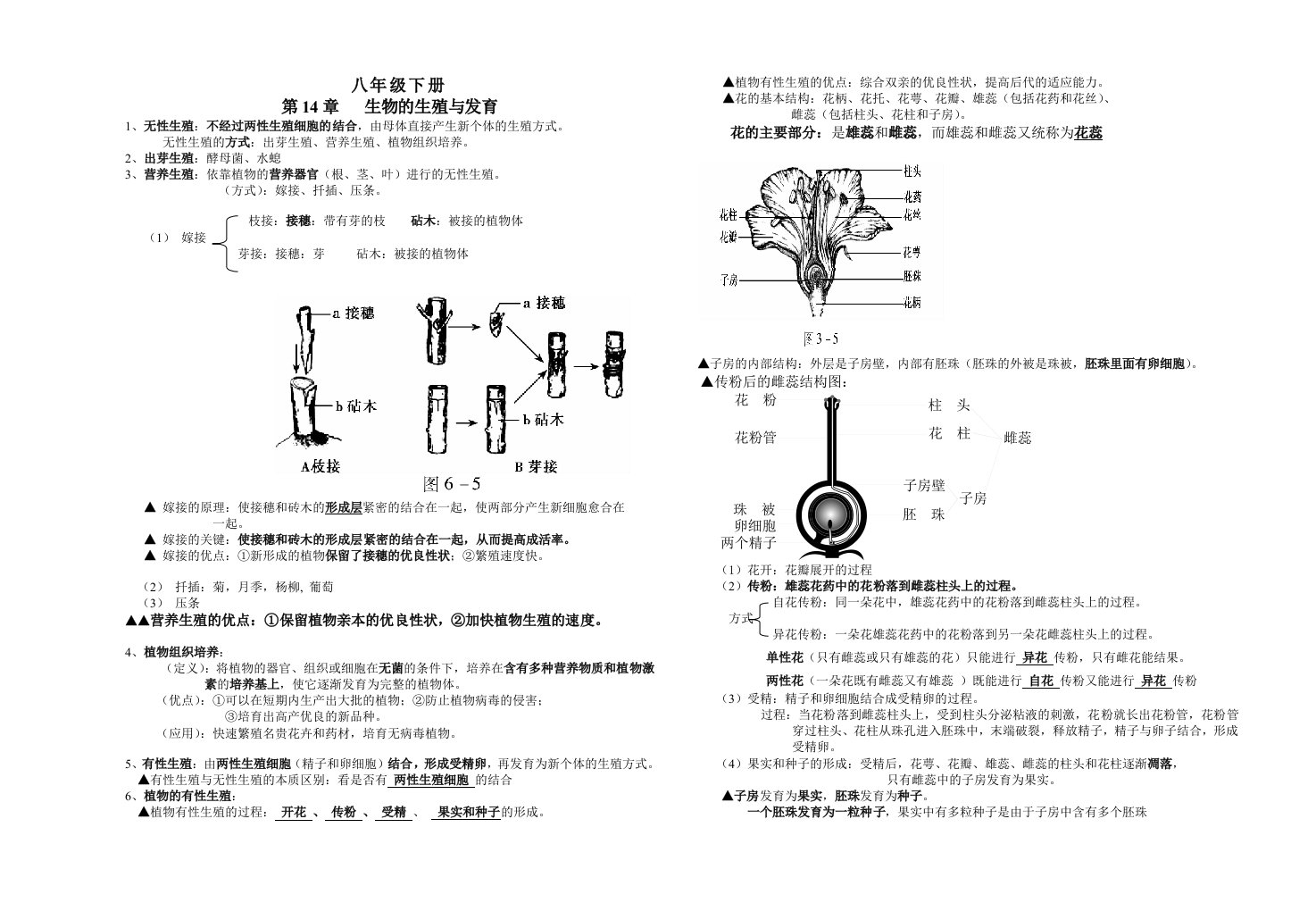 八年级生物上册笔记