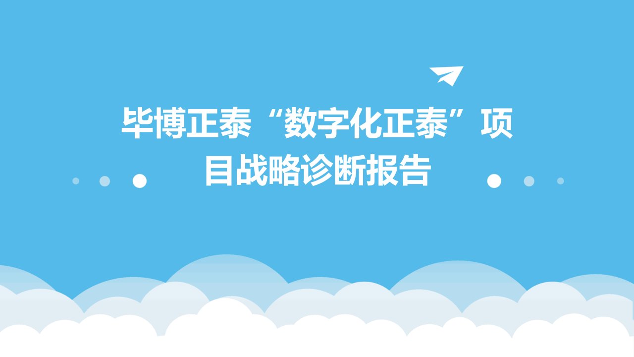 毕博正泰“数字化正泰”项目战略诊断报告课件