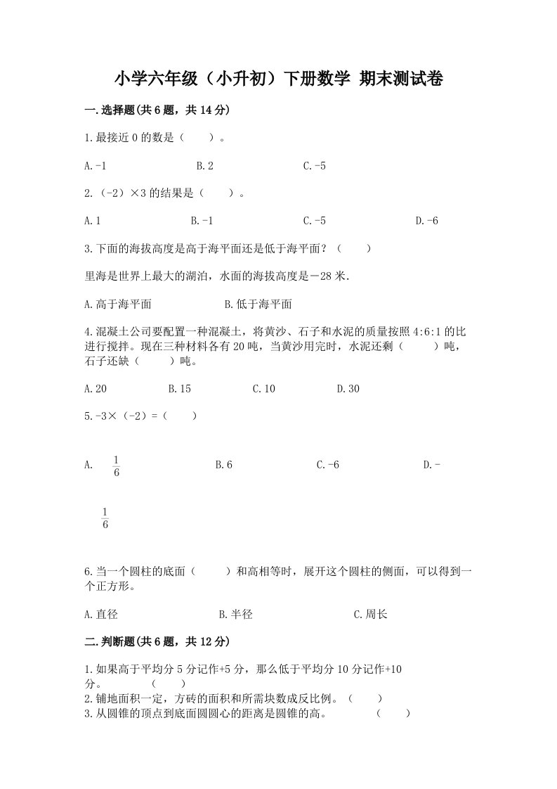 小学六年级（小升初）下册数学