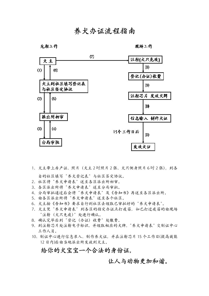 养犬办证流程指南.doc