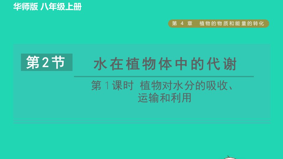 2021秋八年级科学上册第4章植物的物质和能量的转化4.2水在植物体中的代谢第1课时植物对水分的吸收运输和利用习题课件新版华东师大版