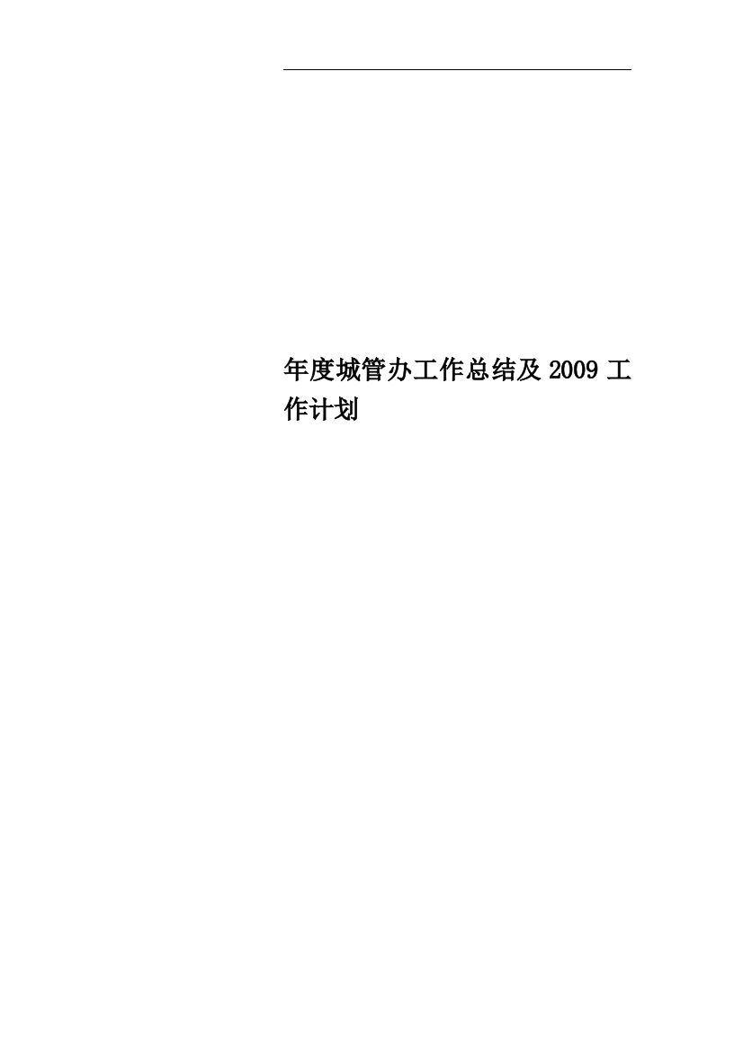 年度城管办工作总结及2009工作计划