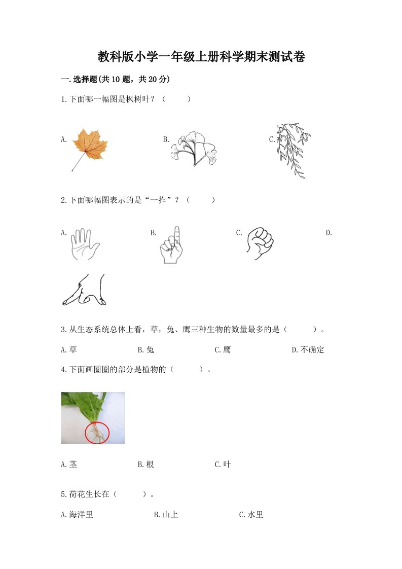 教科版小学一年级上册科学期末测试卷及完整答案（各地真题）