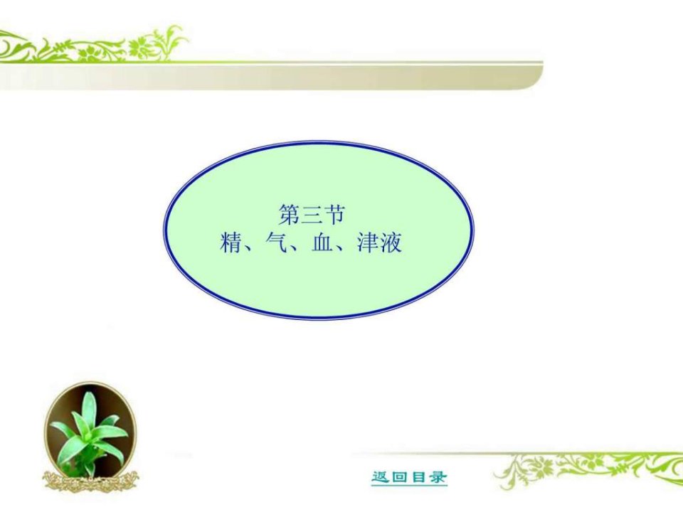 中医学精气血精液.ppt