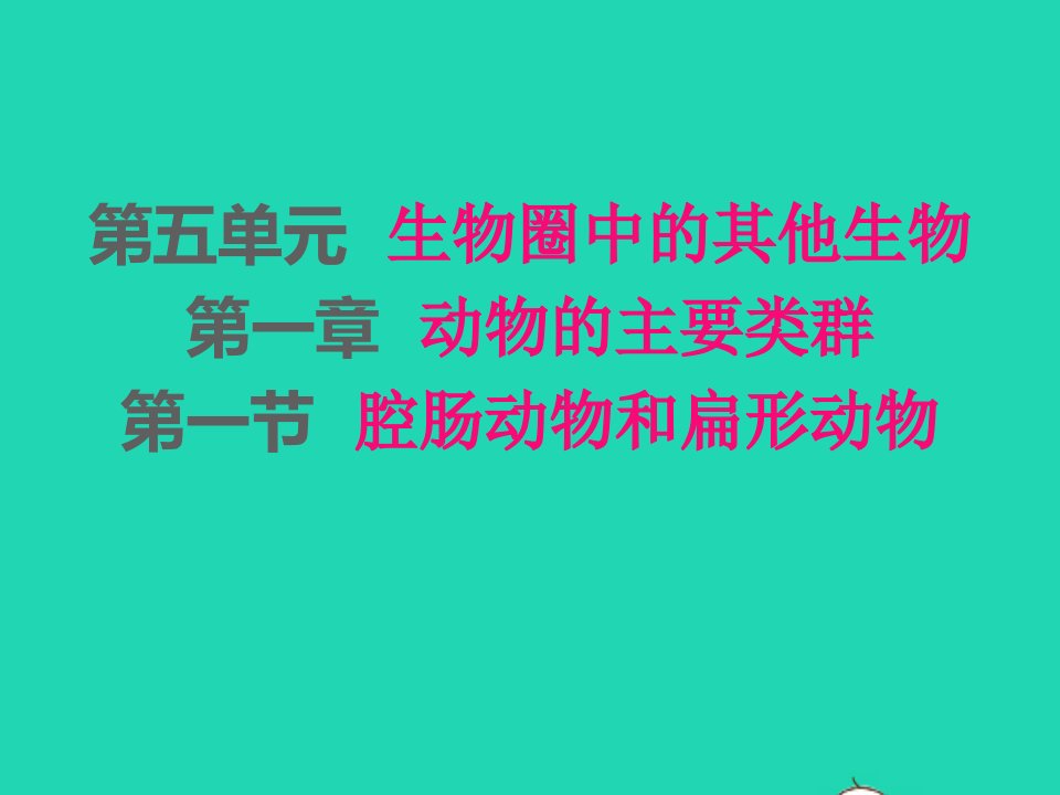 2022八年级生物上册第五单元生物圈中的其他生物第一章动物的主要类群第1节腔肠动物和扁形动物课件新版新人教版