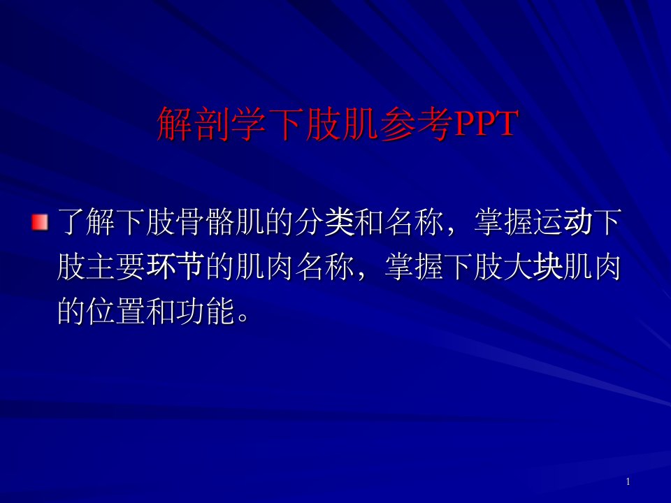 解剖学下肢肌参考ppt