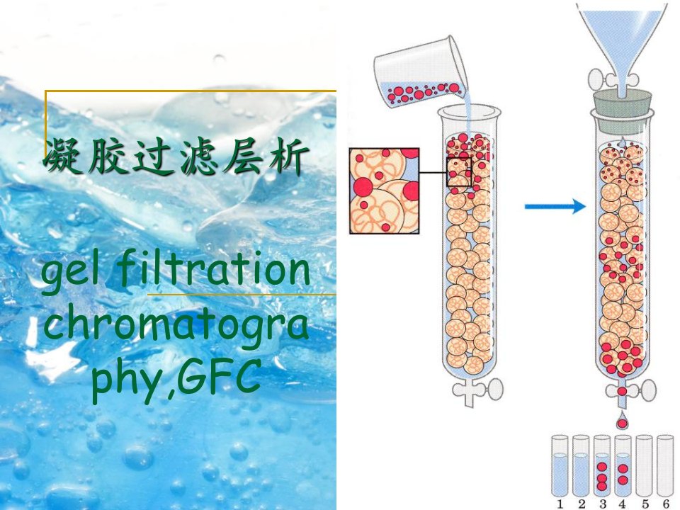 《凝胶过滤层析》PPT课件