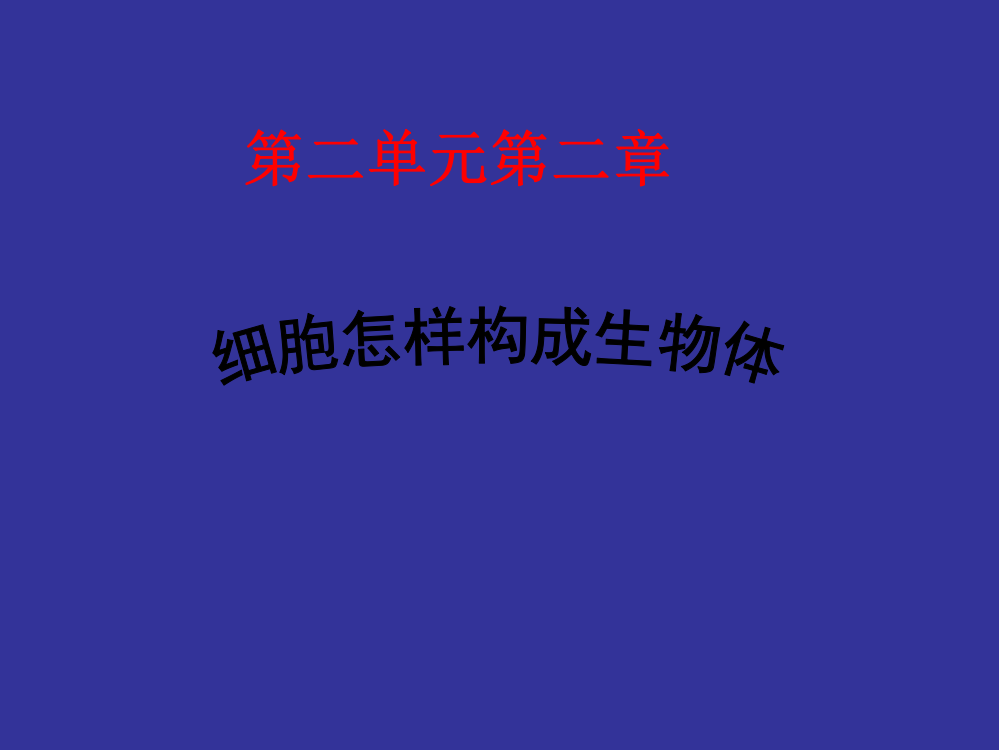 22细胞怎样构成生物体复习课件共21张