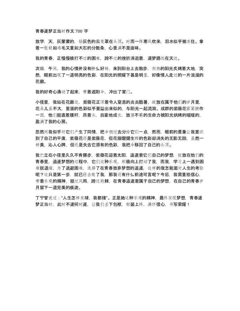 青春逐梦正当时作文700字