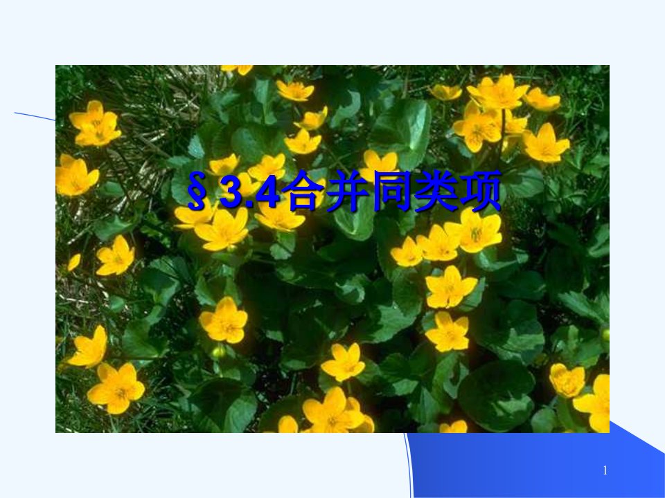 北师大版数学七年级《合并同类项》教学ppt课件