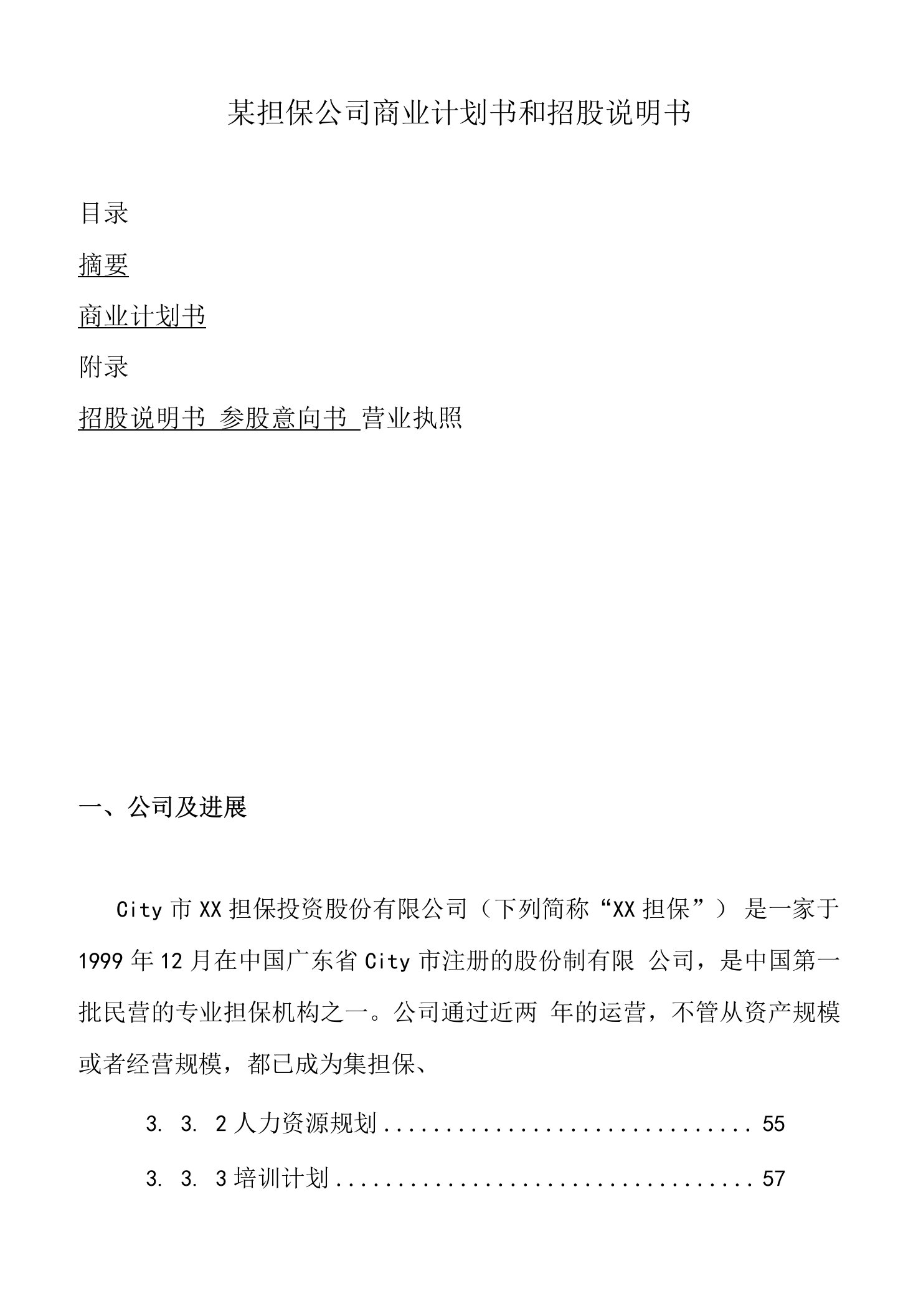 某担保公司商业计划书和招股说明书