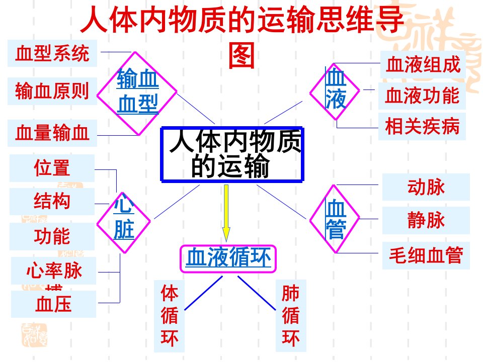 血液复习向分析