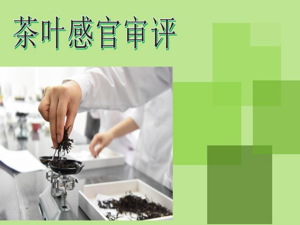 中级评茶员第二讲-茶叶审评基础知识