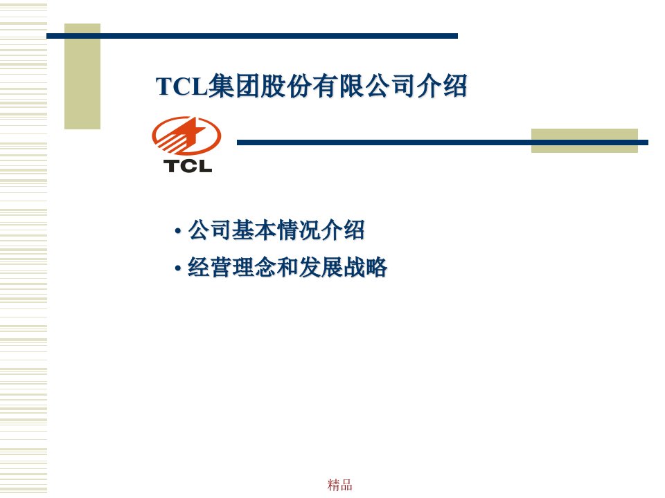 TCL集团股份有限公司介绍课件