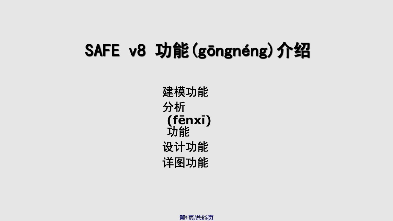 SAFEV中文使用说明实用教案